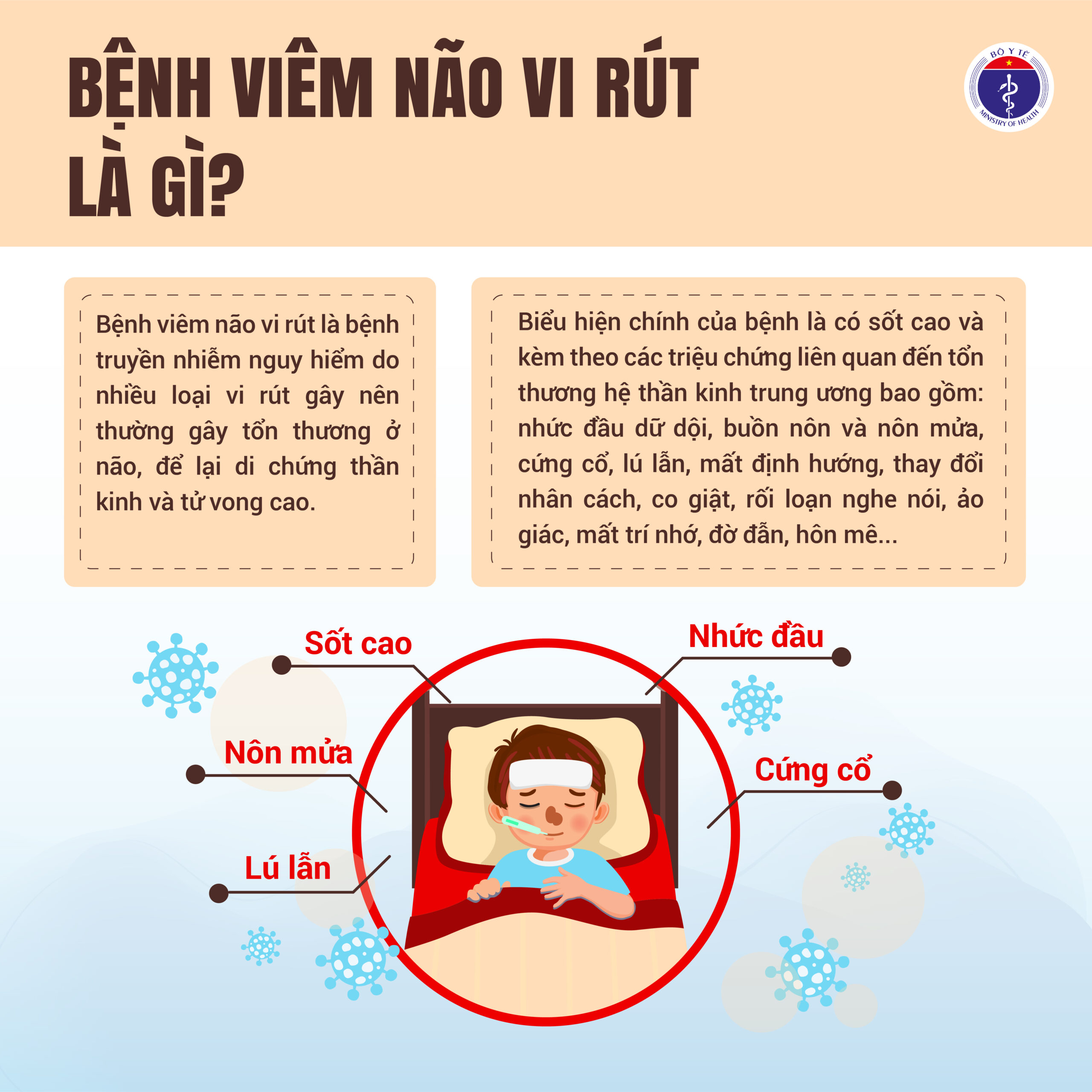 BỆNH NÃO VI RÚT LÀ GÌ?